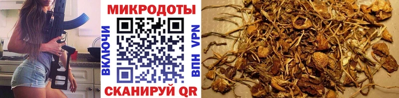 mega ССЫЛКА  Сельцо  Галлюциногенные грибы мухоморы 